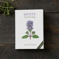Mynte