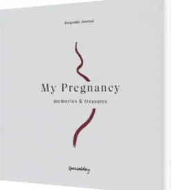 My Pregnancy