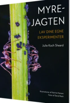 Myrejagten