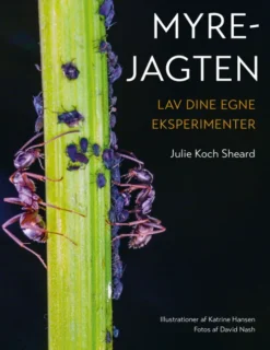 Myrejagten
