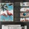 Nassau Fine Art - Paint By Numbers Kit - Ark Og 9 Farver - Flamingo