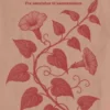 Natursyn - Fra Særstatus Til Sameksistens