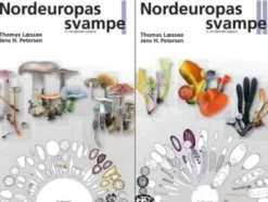 Nordeuropas Svampe 1-2