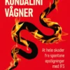 Når Kundalini Vågner