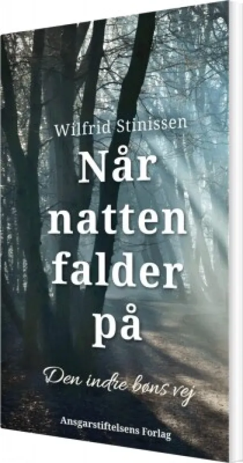 Når Natten Falder På