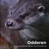 Odderen