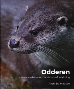 Odderen