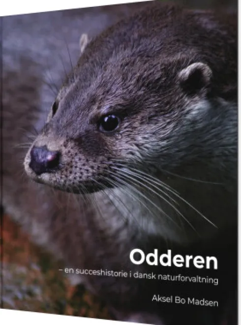 Odderen
