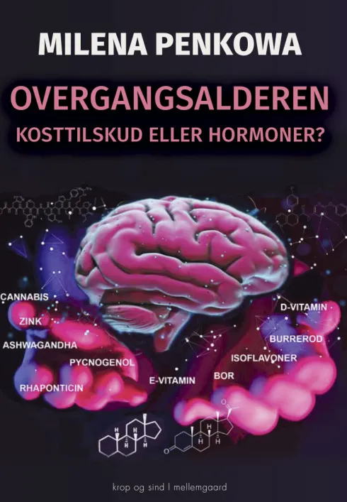 Overgangsalderen