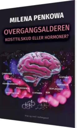 Overgangsalderen
