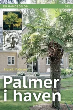 Palmer I Haven