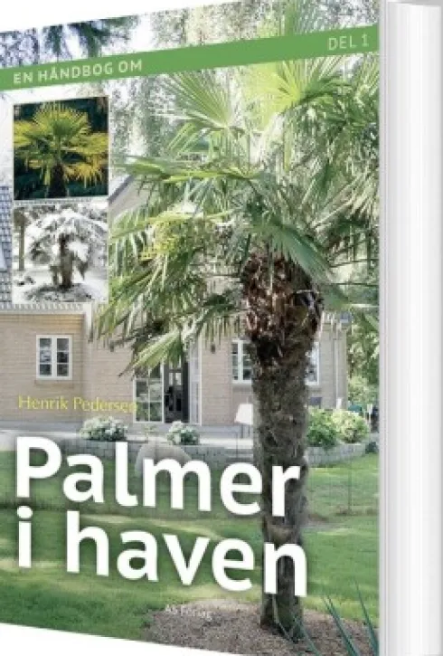 Palmer I Haven