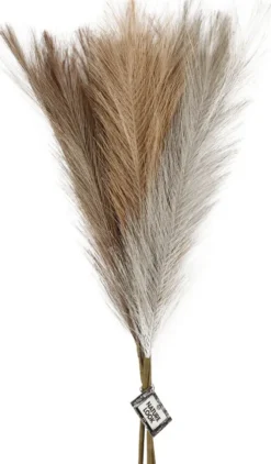 Pampasgræs - L 50 CM - Lys Pudder - Lys Brun - Lys Grå - 3 Stk./ 1 Bundt