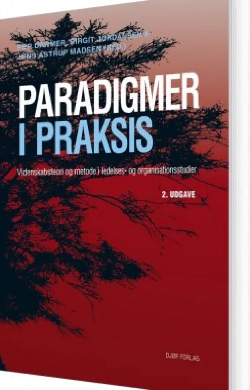 Paradigmer I Praksis