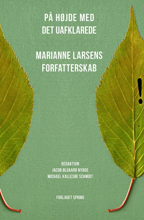 På Højde Med Det Uafklarede