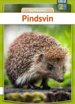 Pindsvin