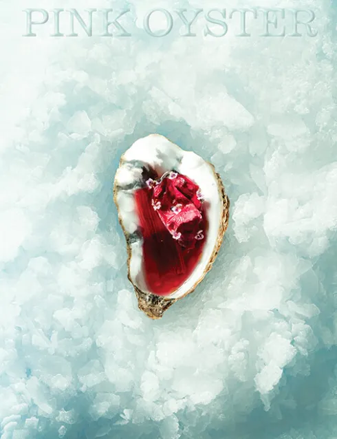 Pink Oyster