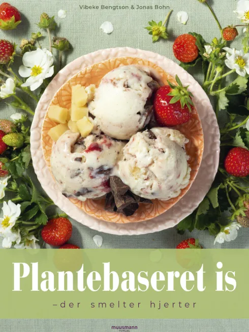 Plantebaseret Is