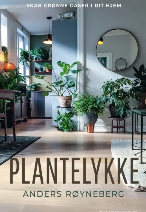 Plantelykke