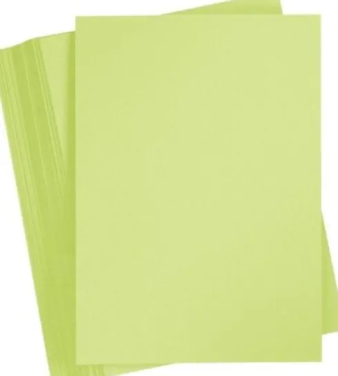 Playcut Karton A3 120 G X 100 Løvgrøn