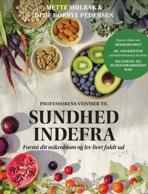 Professorens Vejvisning Til Sundhed Indefra