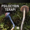 Psilocybin-Terapi