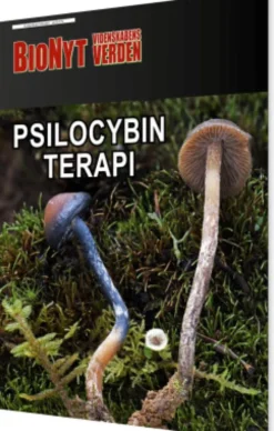 Psilocybin-Terapi