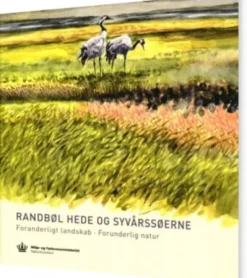 Randbøl Hede Og Syvårssøerne