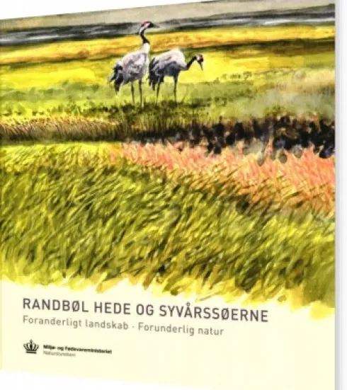Randbøl Hede Og Syvårssøerne
