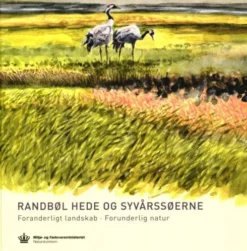 Randbøl Hede Og Syvårssøerne