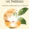 Reinkarnation I En Nøddeskal