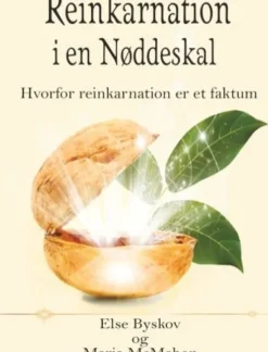 Reinkarnation I En Nøddeskal