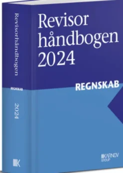 Revisorhåndbogen 2024, Regnskab