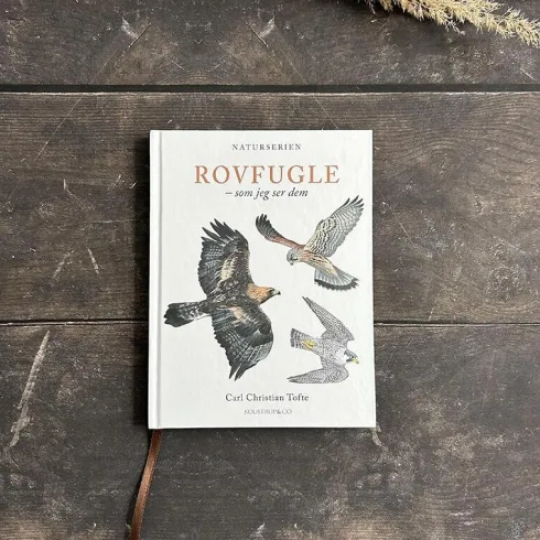 Rovfugle