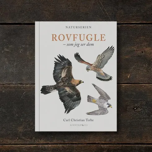 Rovfugle
