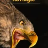 Rovfugle
