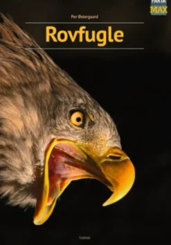 Rovfugle