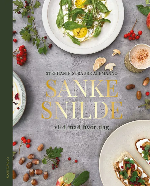Sankesnilde