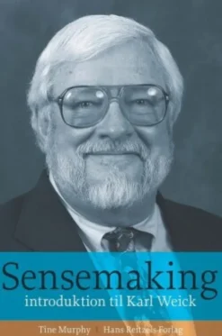 Sensemaking