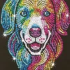 Sequin Art - Hund - 25 X 34 CM