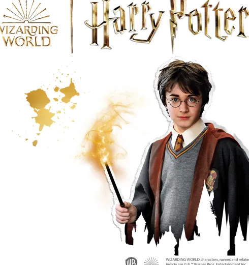 Ses Creative - Mal På Sten - Harry Potter