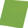 Silkepapir 5 Ark 50 X 70 CM - 18 G - Lime Grøn - Haza