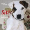 Sit!