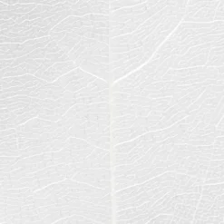 Skeletblade - L 6-8 CM - Hvid - 20 Stk