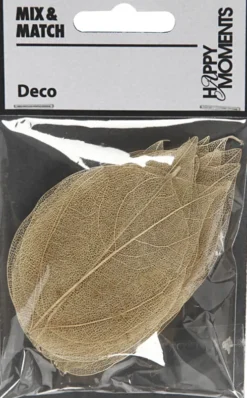 Skeletblade - L 6-8 CM - Natur - 20 Stk