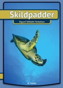 Skildpadder
