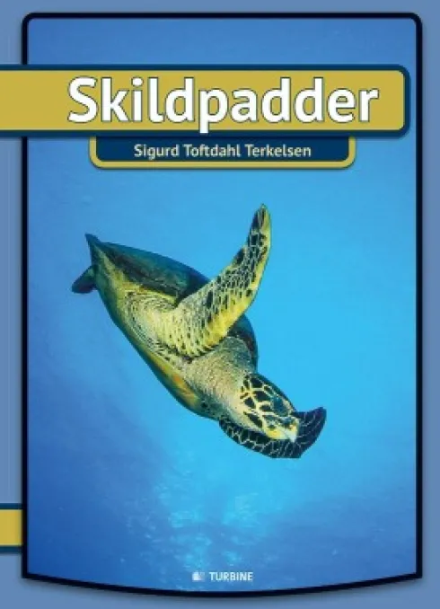 Skildpadder