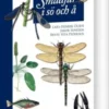 Smådjur I Sö Och Å