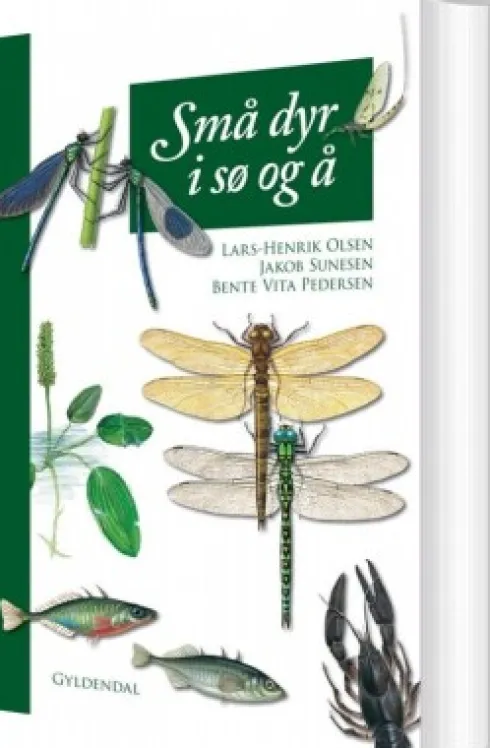 Små Dyr I Sø Og Å