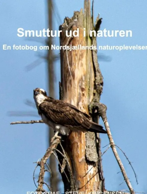 Smuttur Ud I Naturen